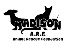The logo of madison, animal rescue foundation in black