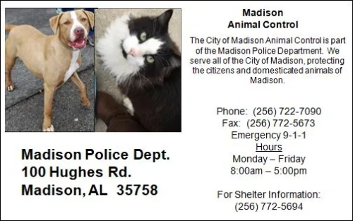 Madison Animal Rescue Foundation poster with a cat and a dog