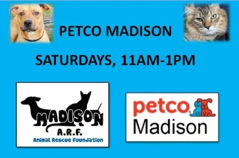 Madison Animal Rescue Foundation poster with blue background